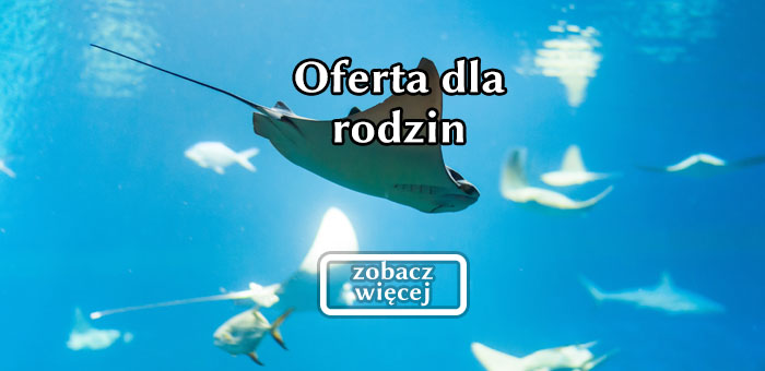 ofertarodzinna